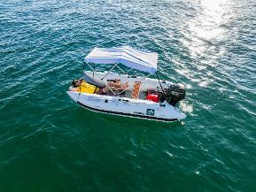 AVALON 290